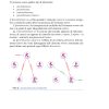 Le leggi fondamentali della MTC - immagine 4
